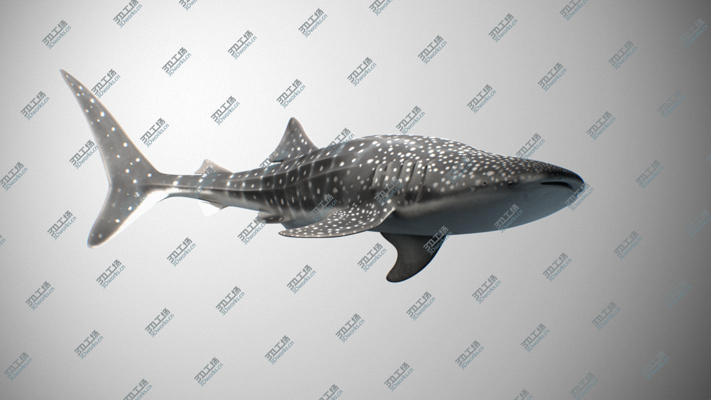 images/goods_img/2021040165/Whale Shark/2.jpg